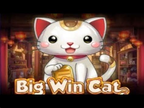 100 Cats 1xbet