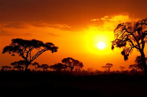 African Sunset Review 2024