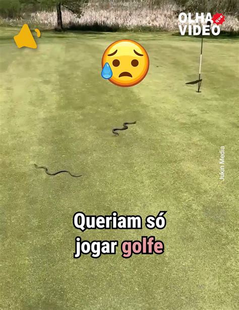 Africana De Golfe De Merda