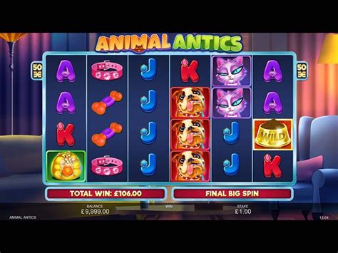 Animal Antics 888 Casino