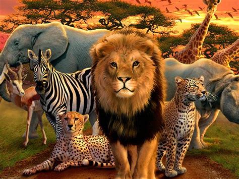 Animals Of Africa 1xbet