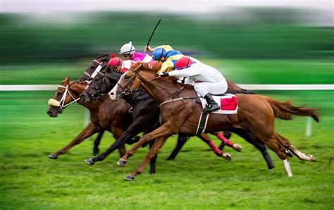 Apostas Em Corridas De Cavalos Campo Grande