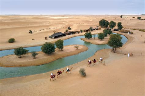 Arabian Oasis Bodog