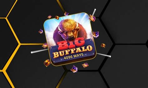 Big Buffalo Bwin