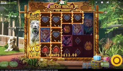Big Cat Rescue Megaways Slot Gratis