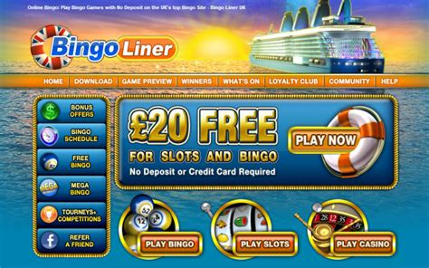 Bingo Liner Casino Apostas