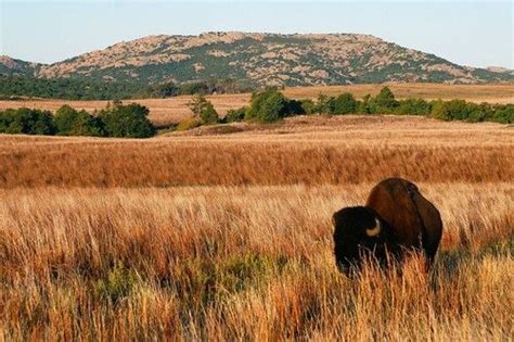 Blackjack Oklahoma