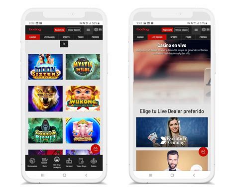 Bodog Casino Mobile