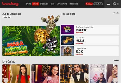 Bodog Casino Peru