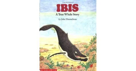 Book Of Ibis Bwin