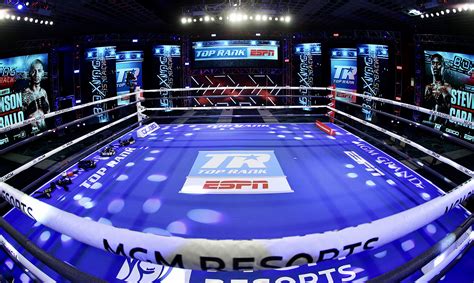 Boxing Arena 1xbet