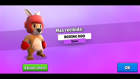 Boxing Roo Bet365
