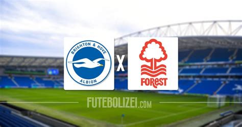 Brighton E Hove Jogo