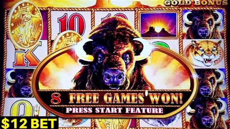 Buffalo Bet Casino Bonus