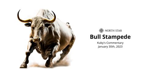 Bull Stampede Betano