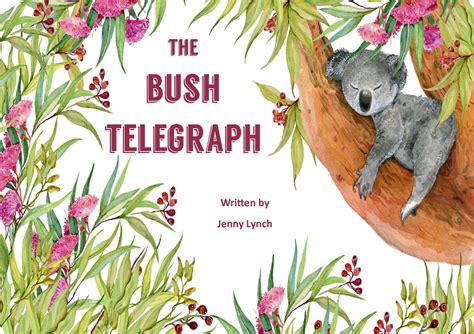Bush Telegraph Betsul