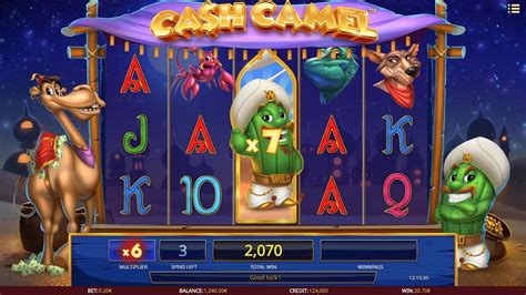 Cash Camel Review 2024