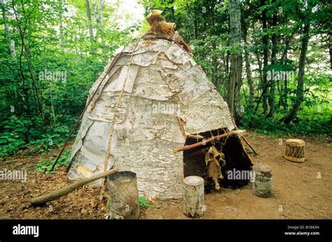 Cassinos Indigenas Em New Brunswick Canada