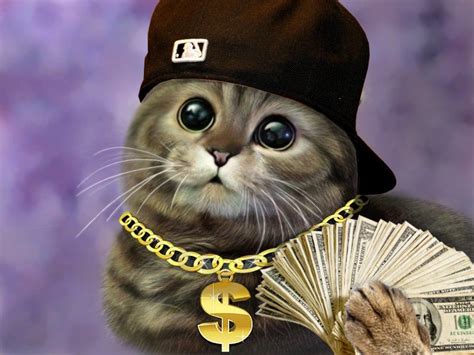 Cat Gangster Brabet