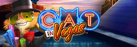 Cat In Vegas Brabet