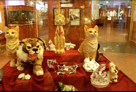 Cat Museum Betfair