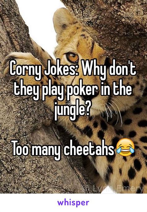 Cheetah Poker Piada