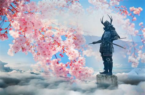 Cherry Blossom Samurai 1xbet