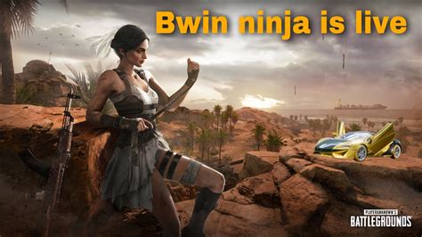 Chicken Ninja Bwin