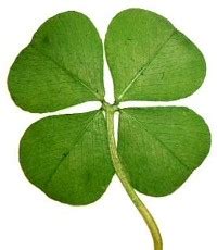 Clovers Of Luck Blaze