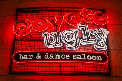 Coyote Ugly Casino