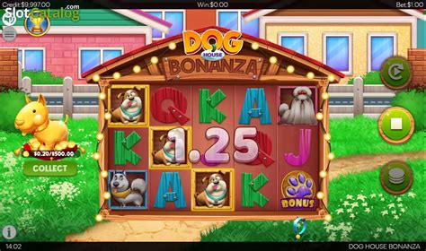 Dog House Bonanza 888 Casino