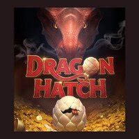 Dragon Hatch Bodog