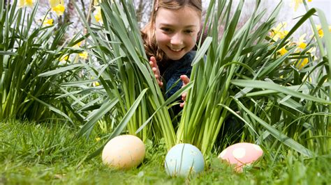 Easter Egg Hunt Novibet