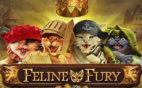 Feline Fury 1xbet