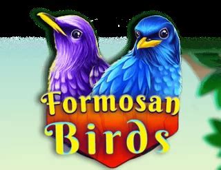 Formosan Birds Review 2024