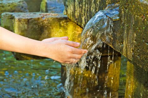 Fountain Of Youth Betano