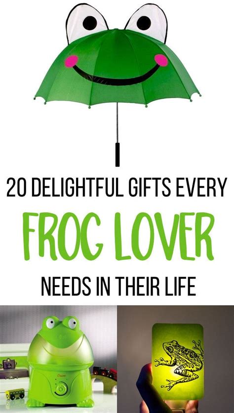 Frogs Gift Review 2024