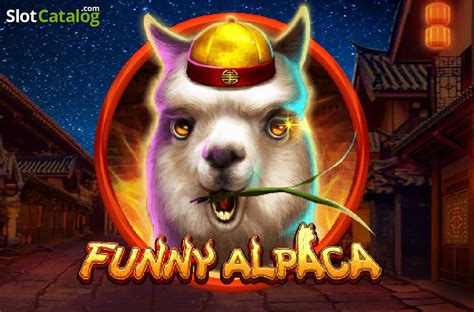 Funny Alpaca Review 2024