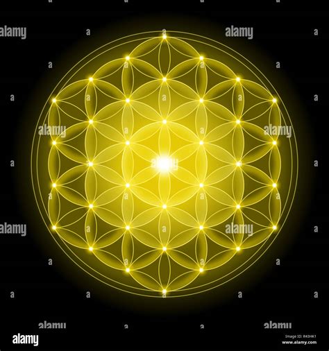 Golden Flower Of Life Leovegas