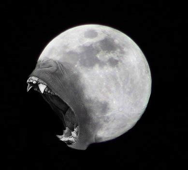 Gorilla Moon Parimatch