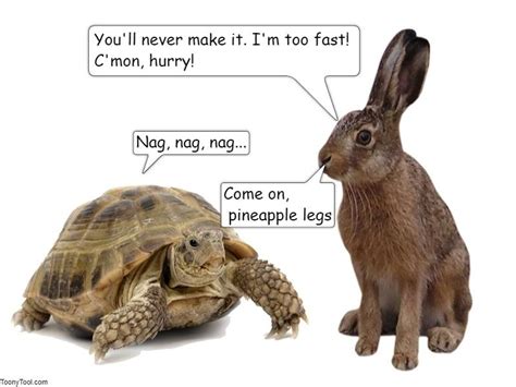 Hare Vs Tortoise Bodog