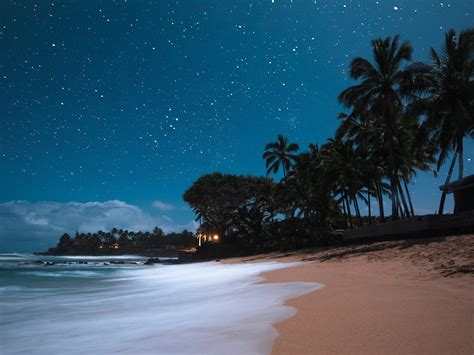 Hawaiian Night Betfair