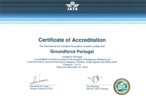 Iata Slot Coordenacao De Formacao