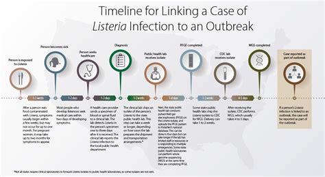 Infectus Review 2024