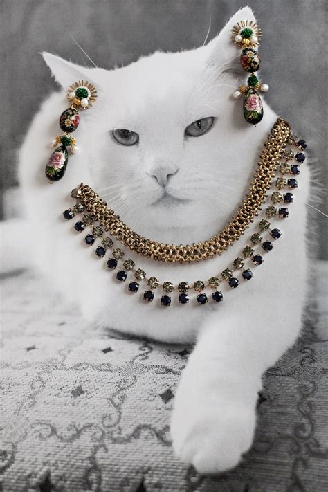 Jewelry Cats Betsson