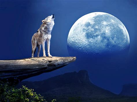 Jogar Howling At The Moon No Modo Demo