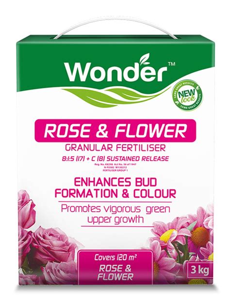 Jogue Wonder Rose Online