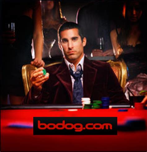 King Of Riches Bodog