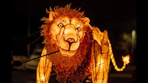 Lanterns Lions 1xbet