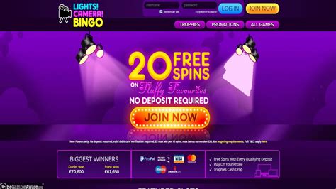 Lights Camera Bingo Casino Download